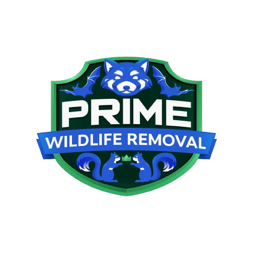 Animal Removal Albion